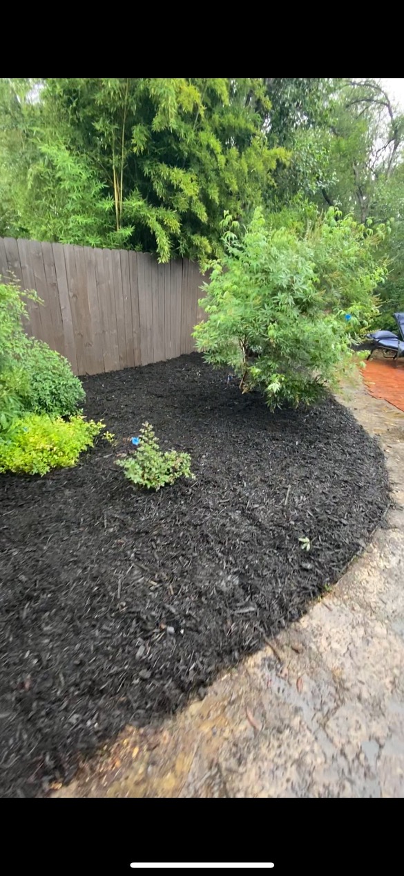 Garden Bed Refresh